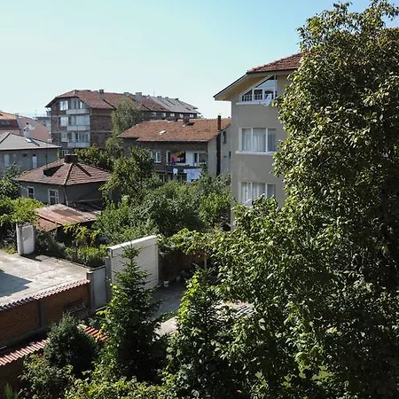 Derelli Elegance صوفيا