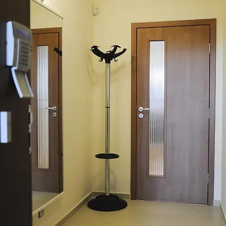 Derelli Elegance صوفيا